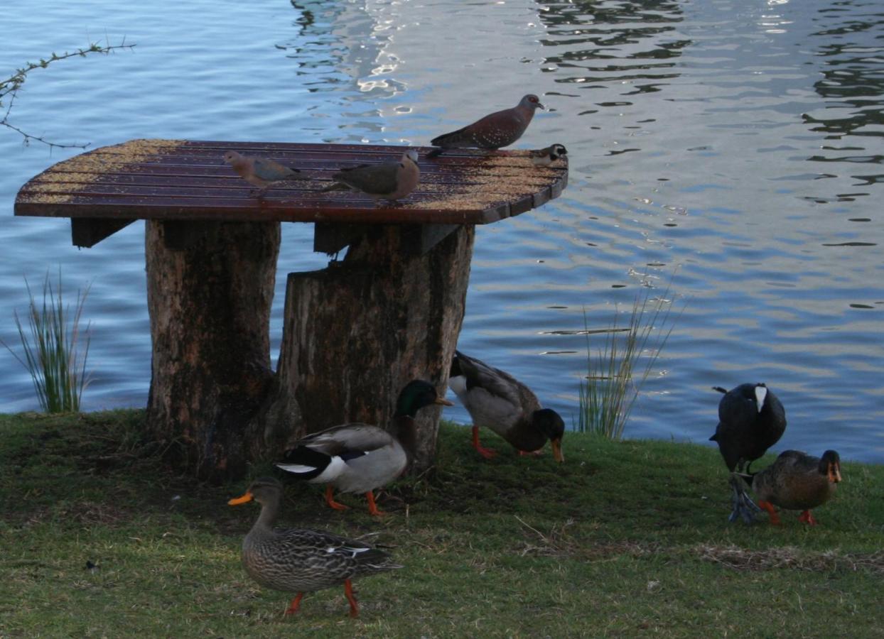 Vlei Cove Apartment *