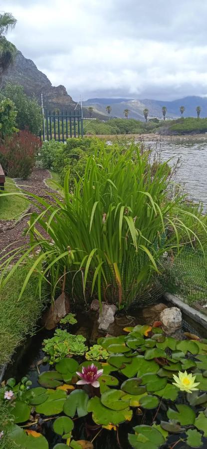 Vlei Cove Apartment