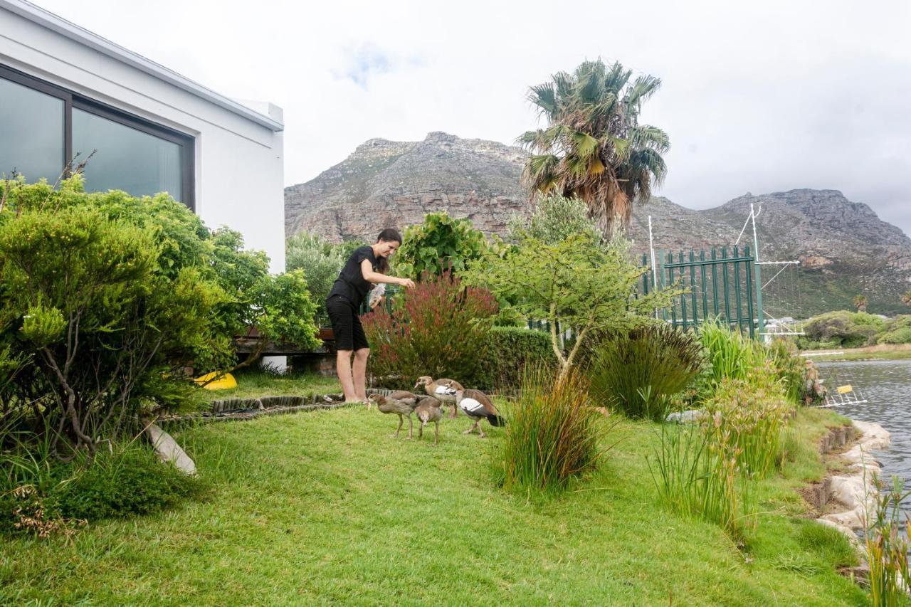 Vlei Cove Apartment Cape Town